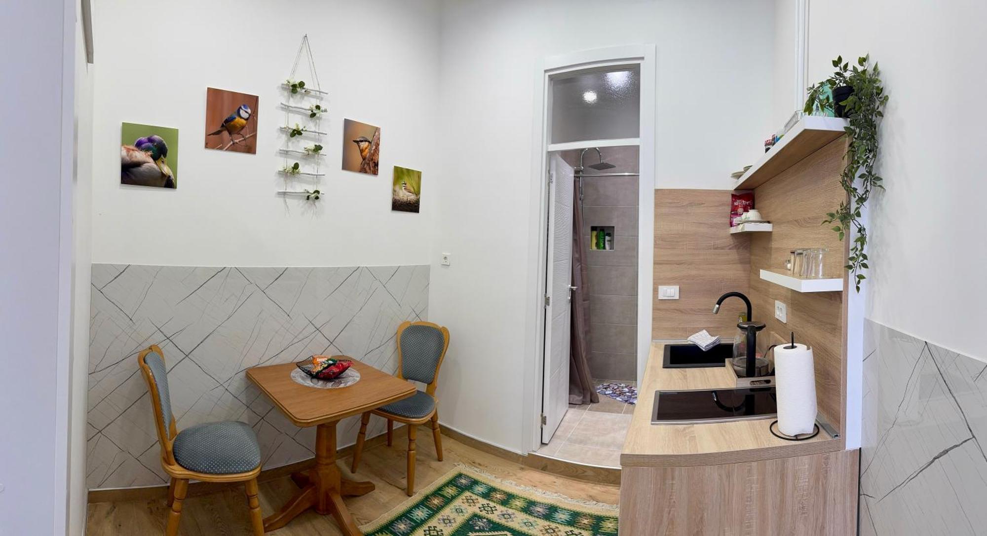 Potoklinica Apartment Sarajevo