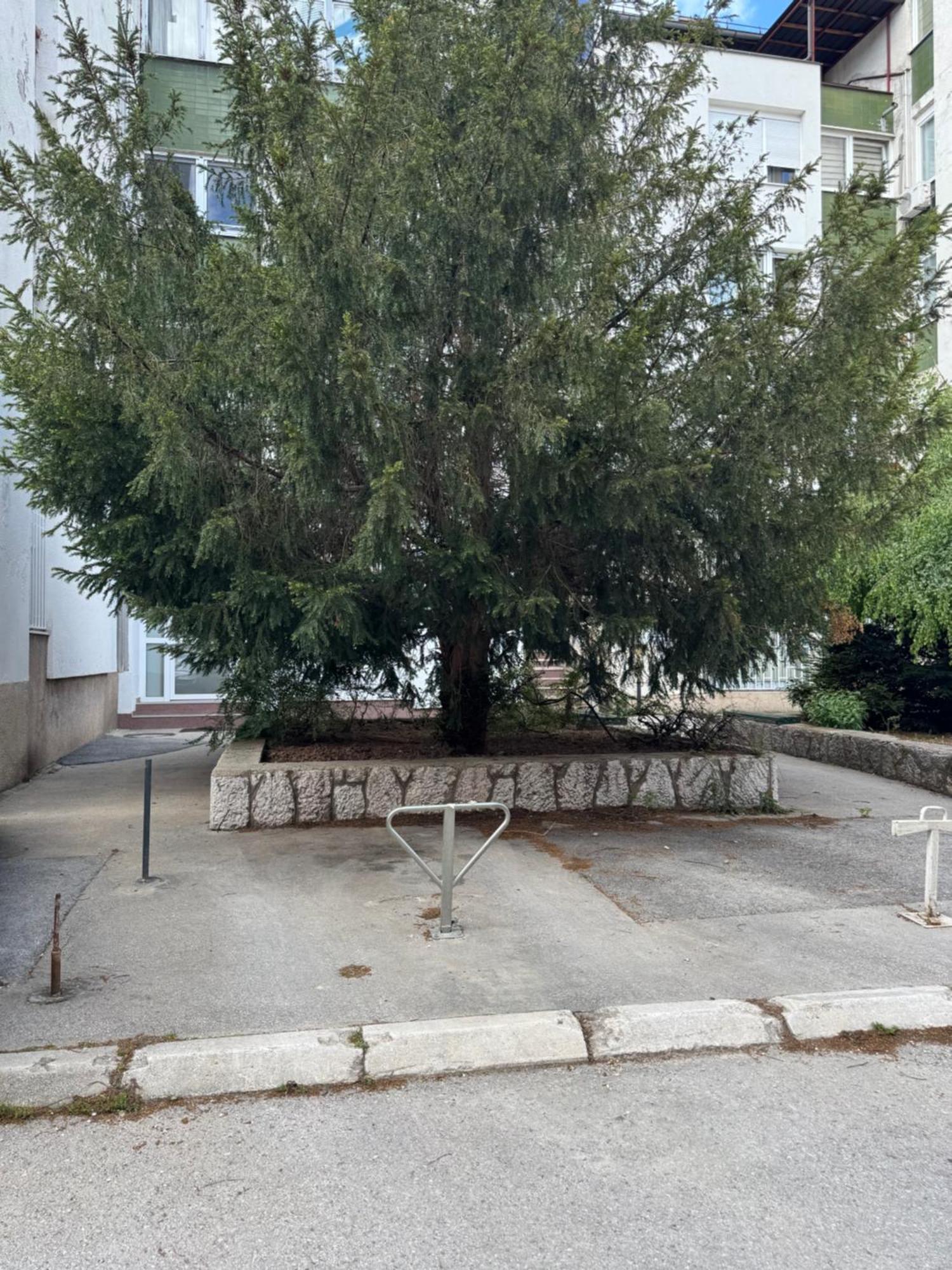 Apartment Potoklinica