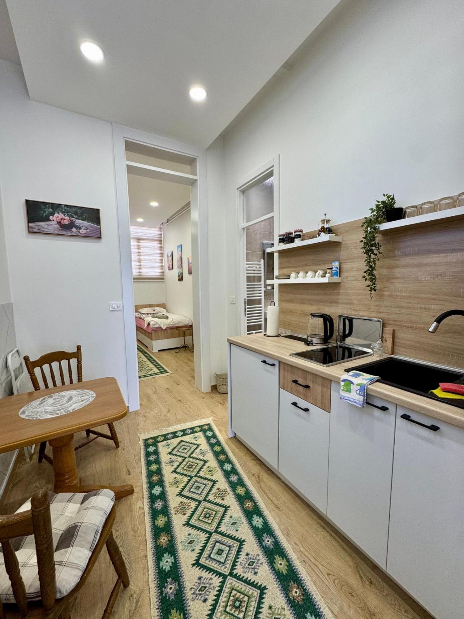 Potoklinica Apartment *